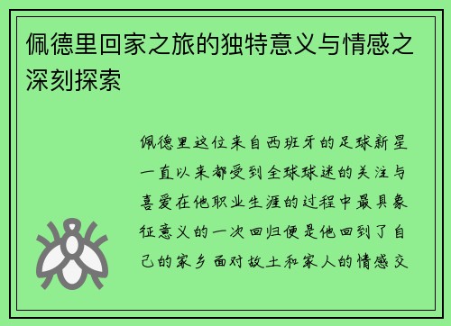 佩德里回家之旅的独特意义与情感之深刻探索