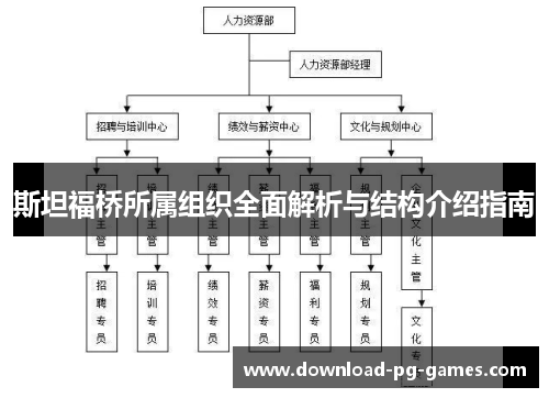 斯坦福桥所属组织全面解析与结构介绍指南