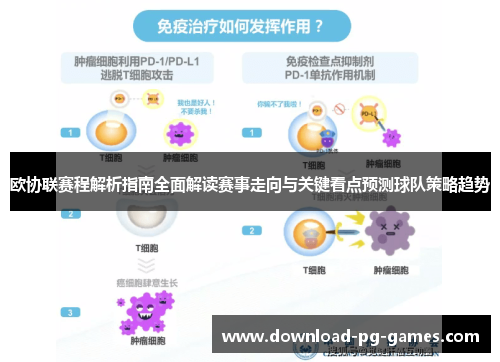 欧协联赛程解析指南全面解读赛事走向与关键看点预测球队策略趋势